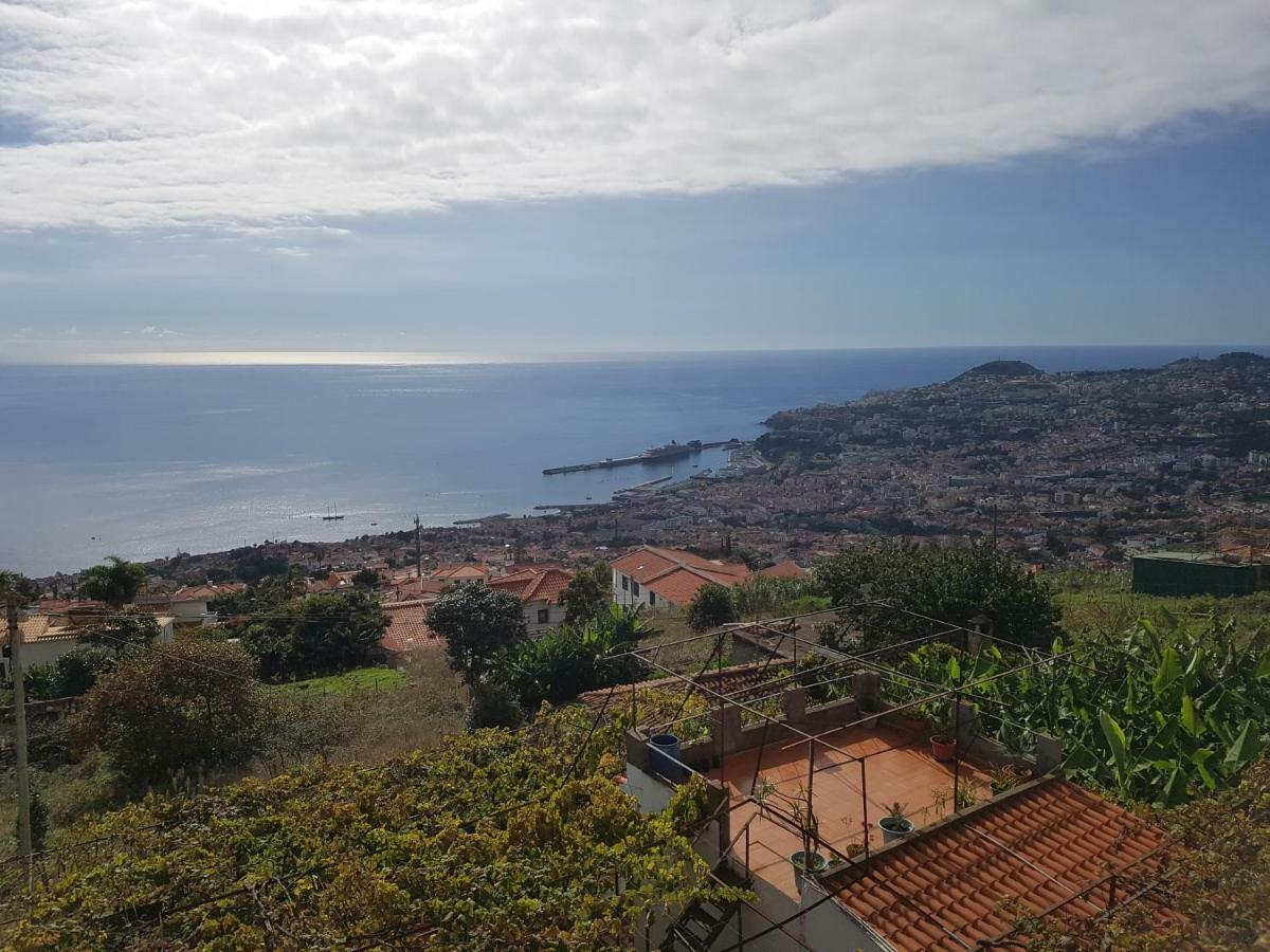 Appartement View Gardens Ii Funchal (Madeira)