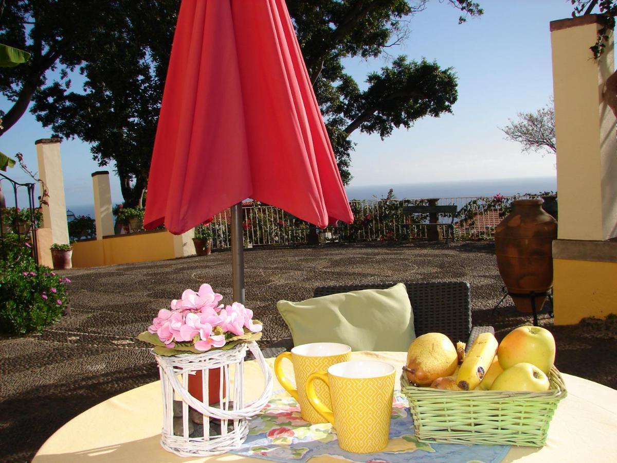 Purple Studio Apartment Funchal (Madeira)