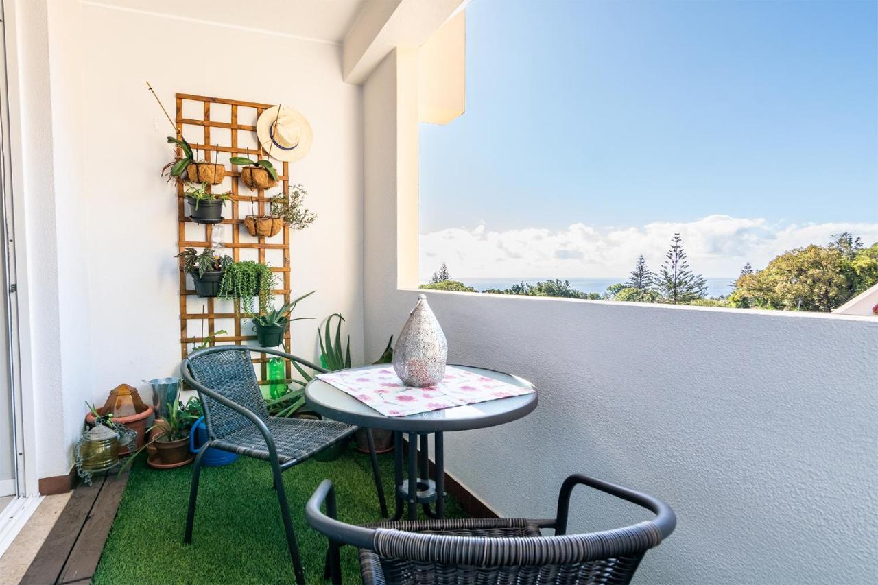 Apartamento Maria Casa Branca * Funchal (Madeira)