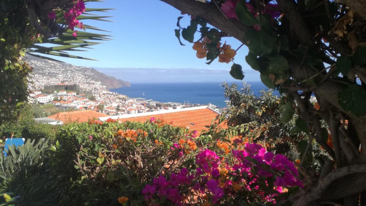 Vista Oceano *