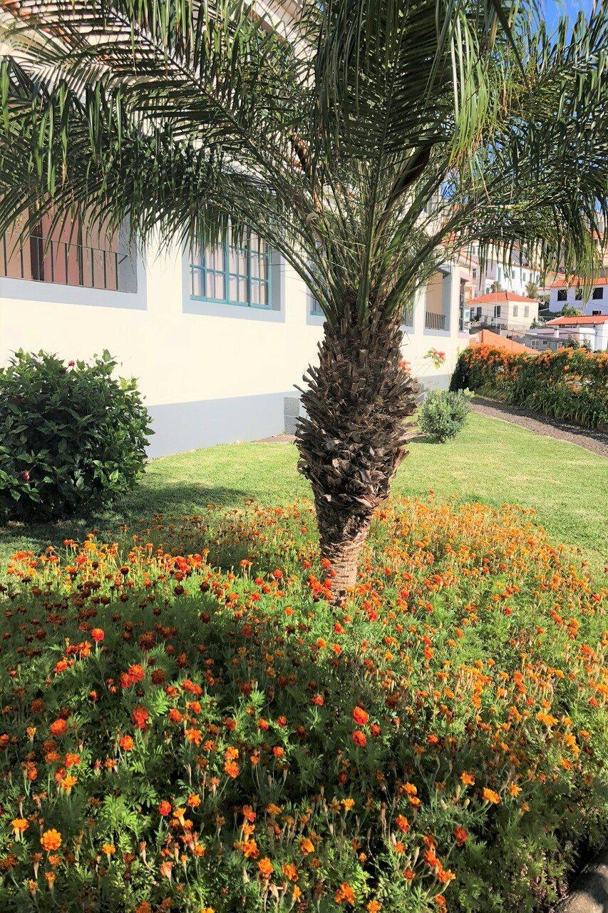 Quinta Mae Dos Homens Aparthotel 3*