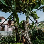 City View Gardens I