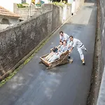 Madeira Villa Livramento