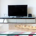 Bright Light Apartment