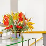Harmony Apartment