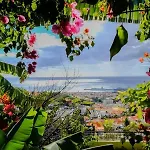 Granny\'S House View