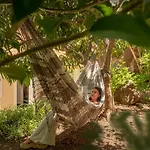 Vila Boa Vista By An Island Apart