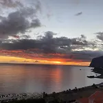 Seashell Caracas