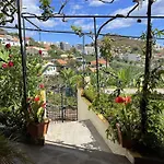 Chinchilla\'S House Madeira Style