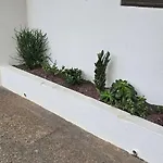 City Nest