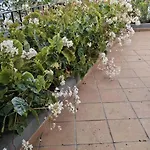 Comfortable Bungalow In Funchal With Sea View