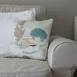Sea Shell