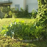 Rochas Shared Apart Garden Refuge