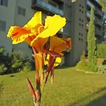 Rochas Shared Apart Garden Refuge