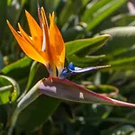 FLH Quintinha Rocha