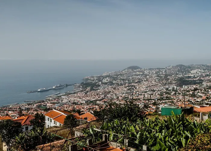City View Gardens I