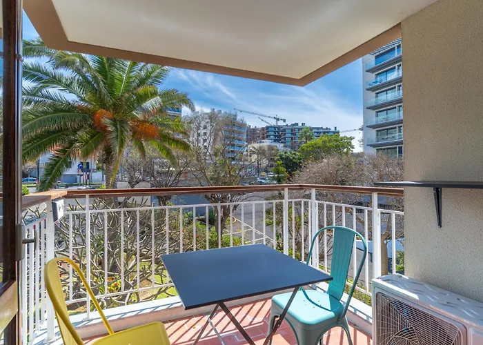 Urso Tigre Apartment