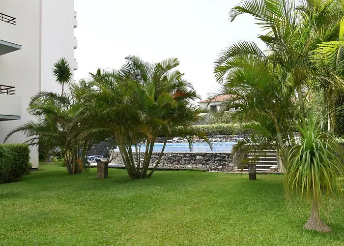Jasmineiro- Funchal