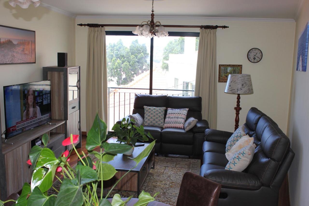 Apartment Palheiro *