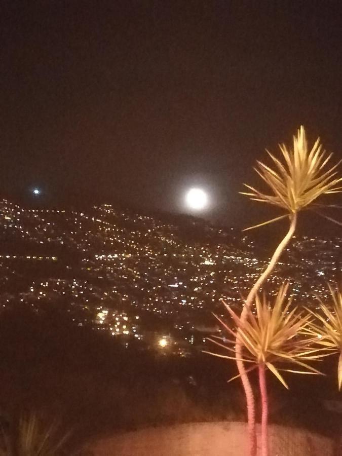 Cc39-q6 Homestay Funchal (Madeira)