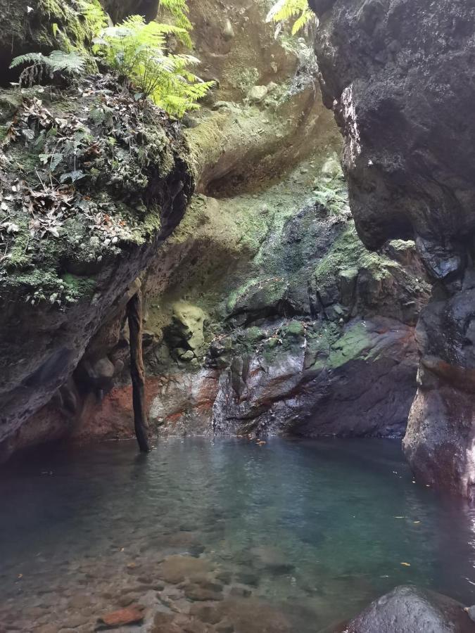 Cc39-q6 * Funchal (Madeira)