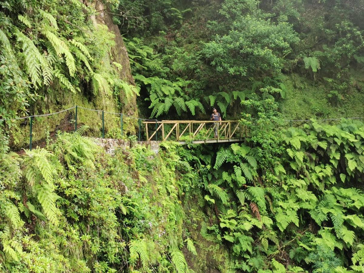 Homestay Cc39-q6 Funchal (Madeira)