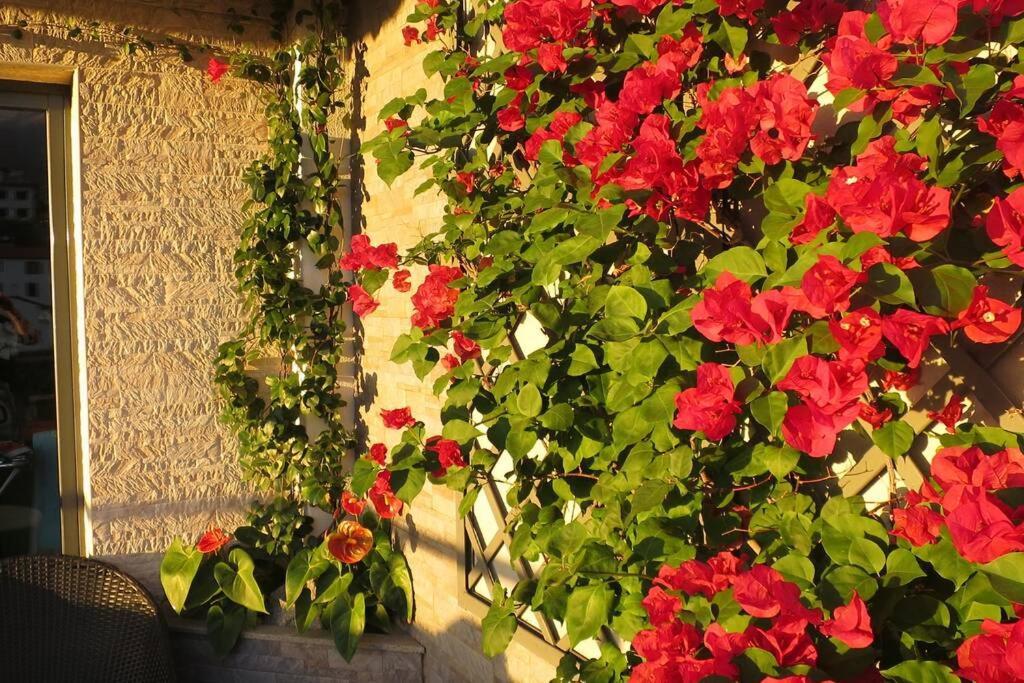 Apartment Varandas Da Fe Funchal (Madeira)