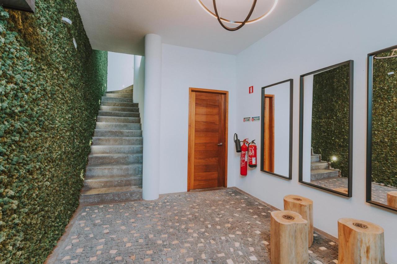 Flh Casa Branca Madeira Apartment