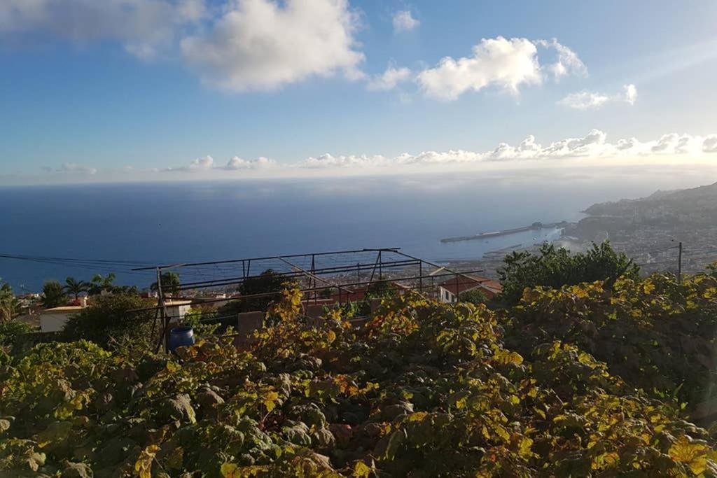 View Gardens