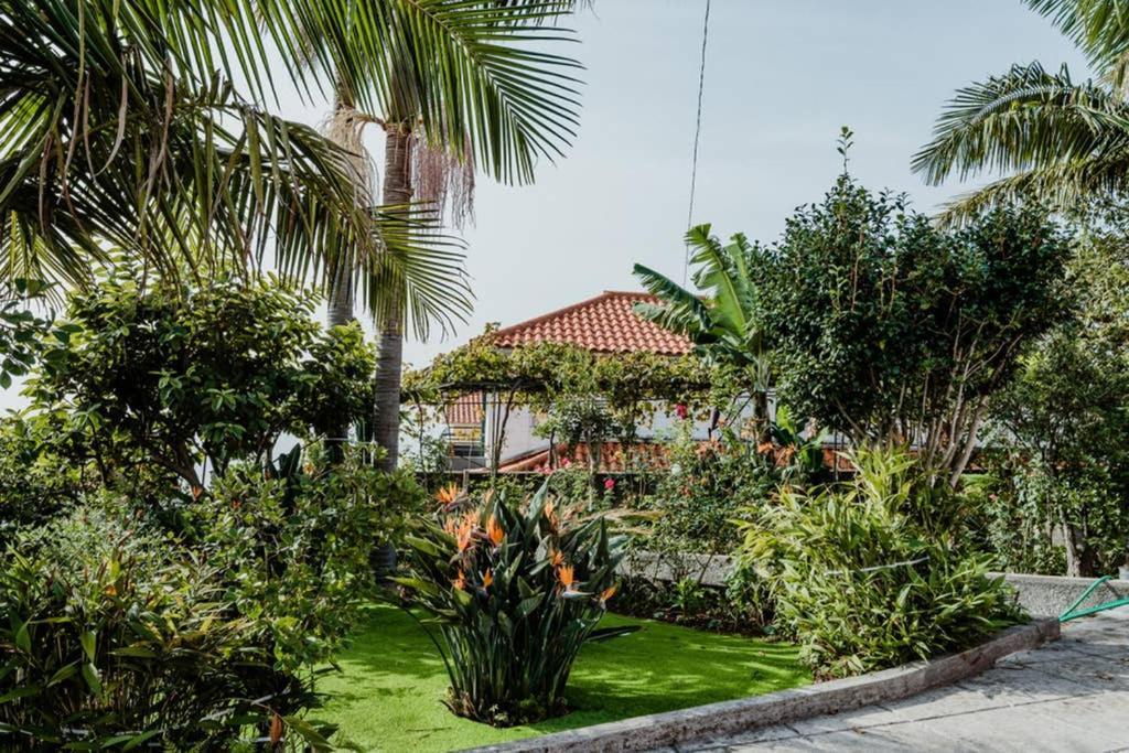 Casa de Férias View Gardens Funchal (Madeira)