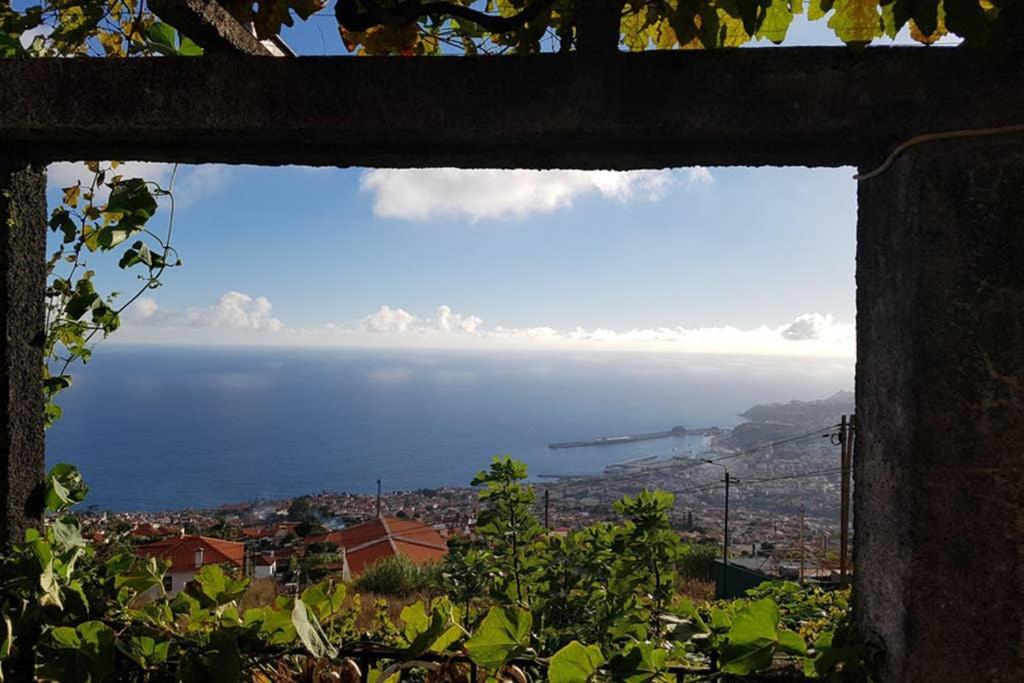 Casa de Férias View Gardens