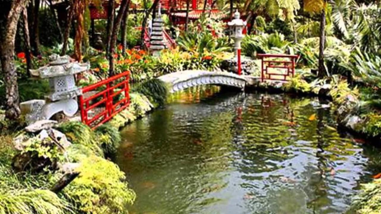 Madeira Livramento * Funchal (Madeira)