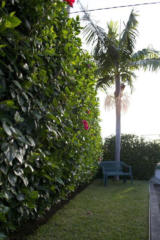 Maria Apartamento Funchal (Madeira)
