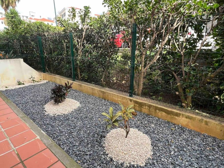 Unique Two-patios + Garage Apartamento Funchal (Madeira)