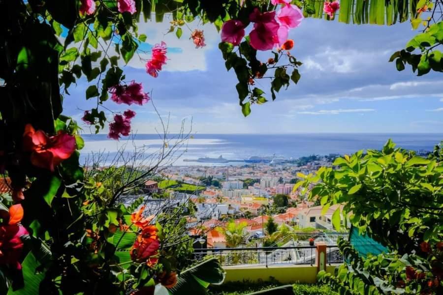 Granny's House View