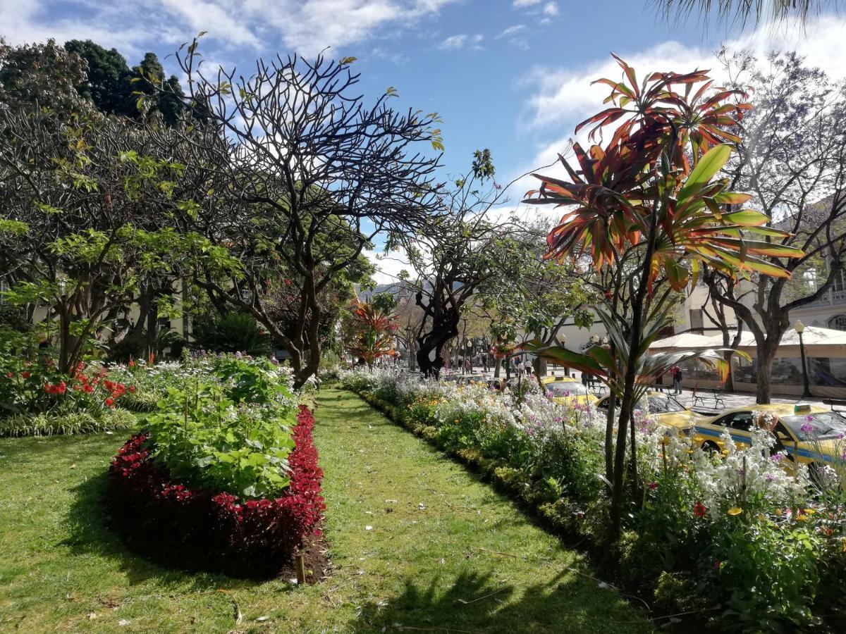 Marina Club Appartement Funchal (Madeira)