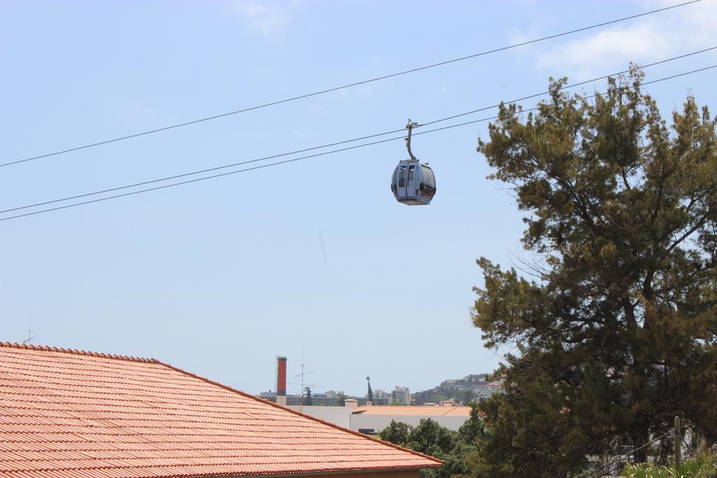 Mel Funchal (Madeira)