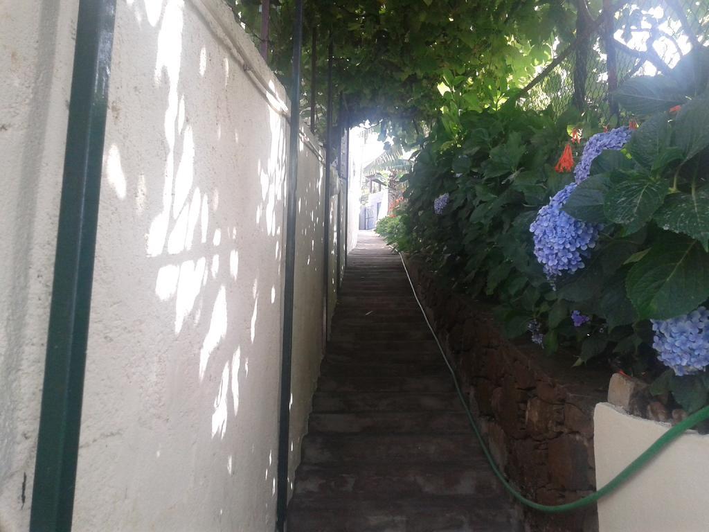 Cantinho Das Bananas Case de vacanță Funchal (Madeira)