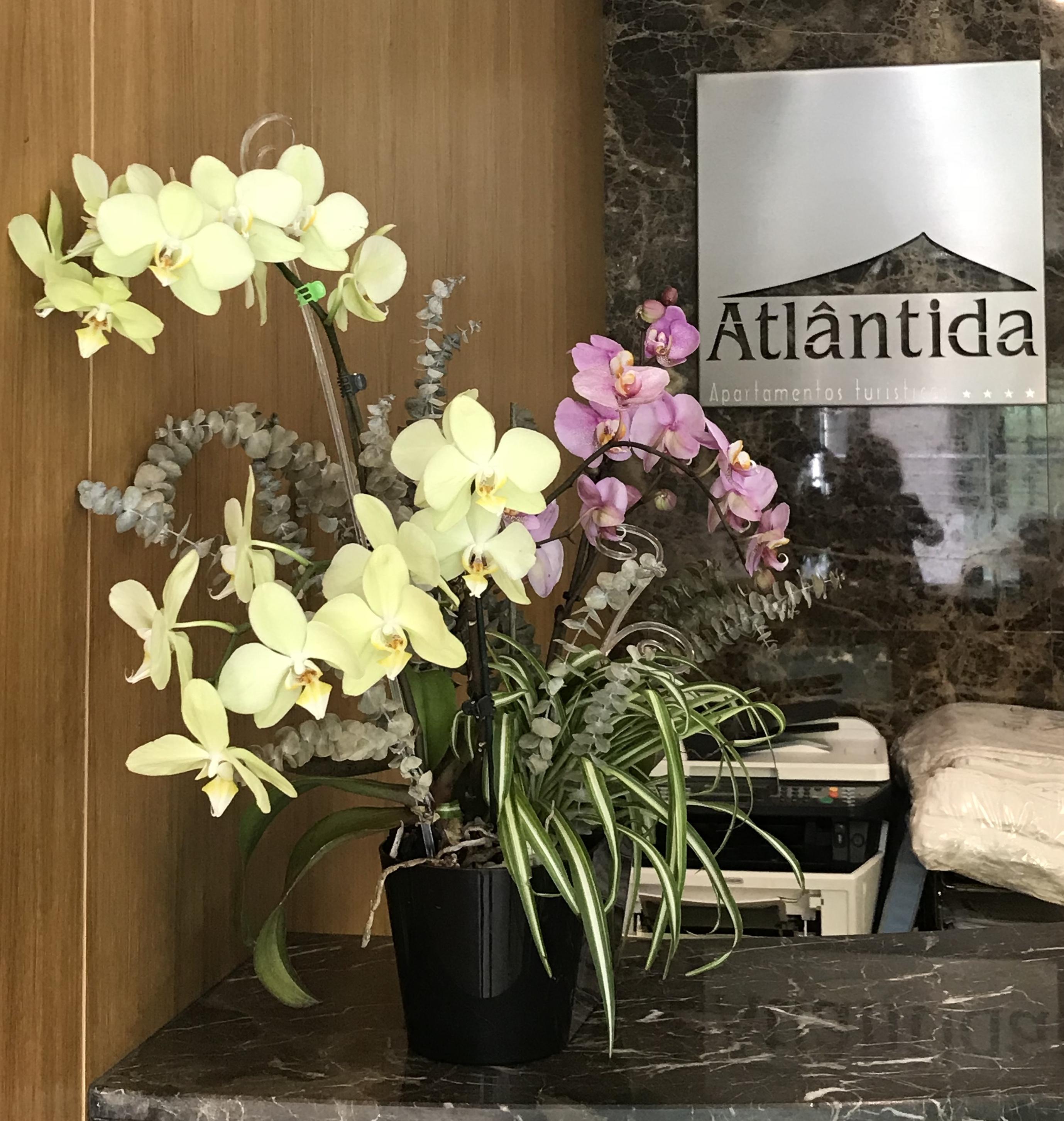 Turisticos Atlantida 4* Funchal (Madeira)