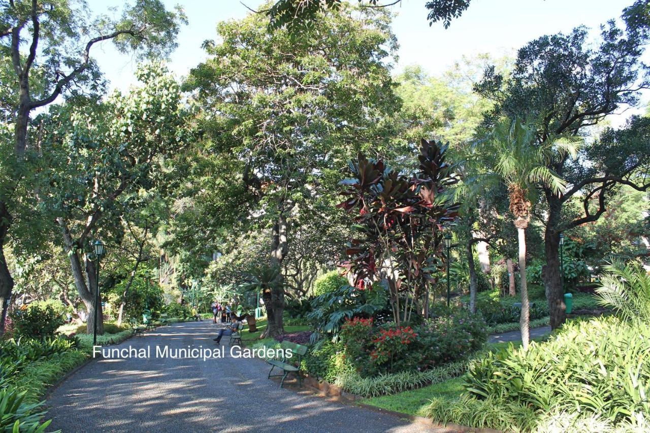 Apartment Ourmadeira - Chill Garden Apartment, Downtown Funchal (Madeira)