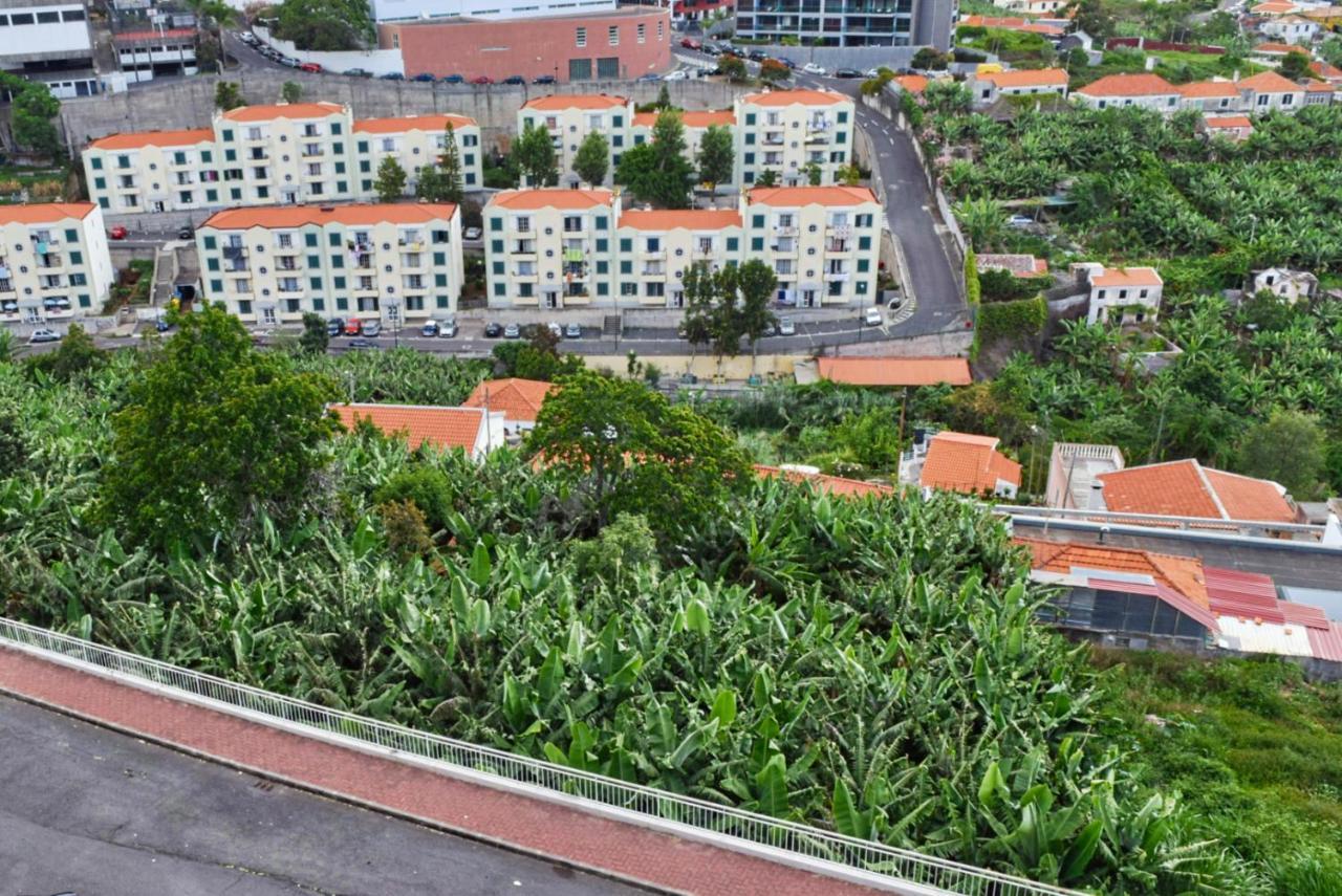 Design Gardens, A In Madeira Funchal (Madeira)