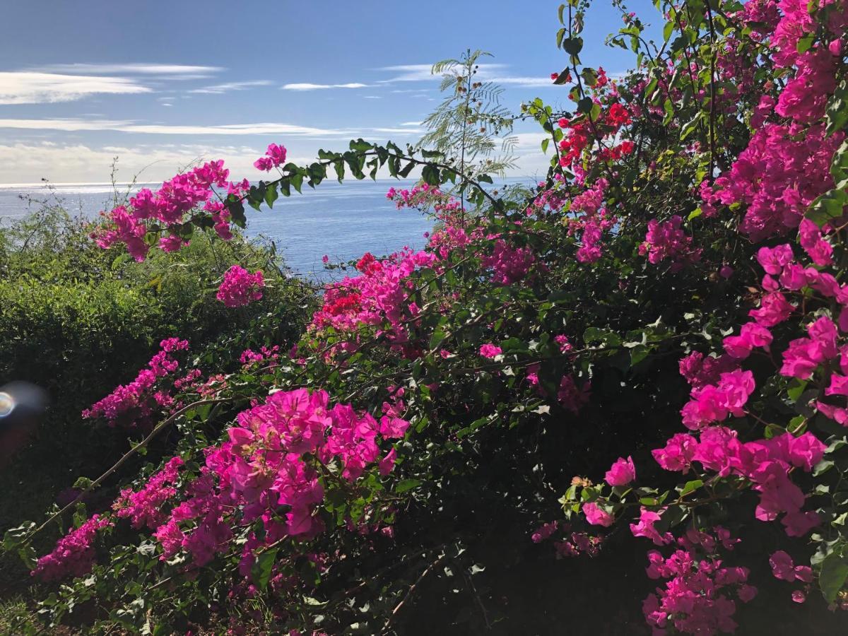 Appartement Ocean Dream Apartment- Air Condition Funchal (Madeira)