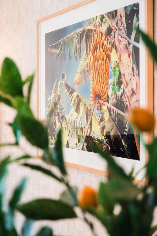 Apartment Banana By Atlantic *