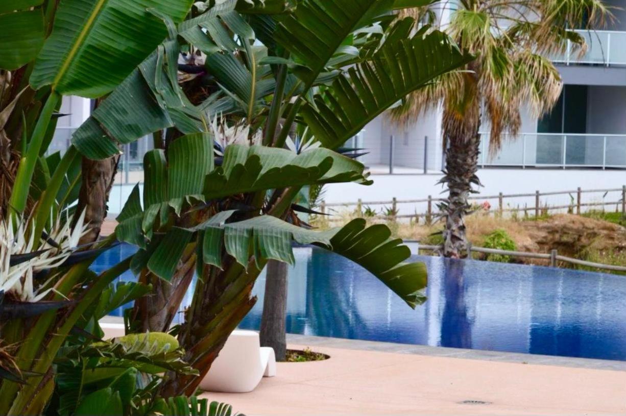 Apartamento Peaceful Madeira Palace *