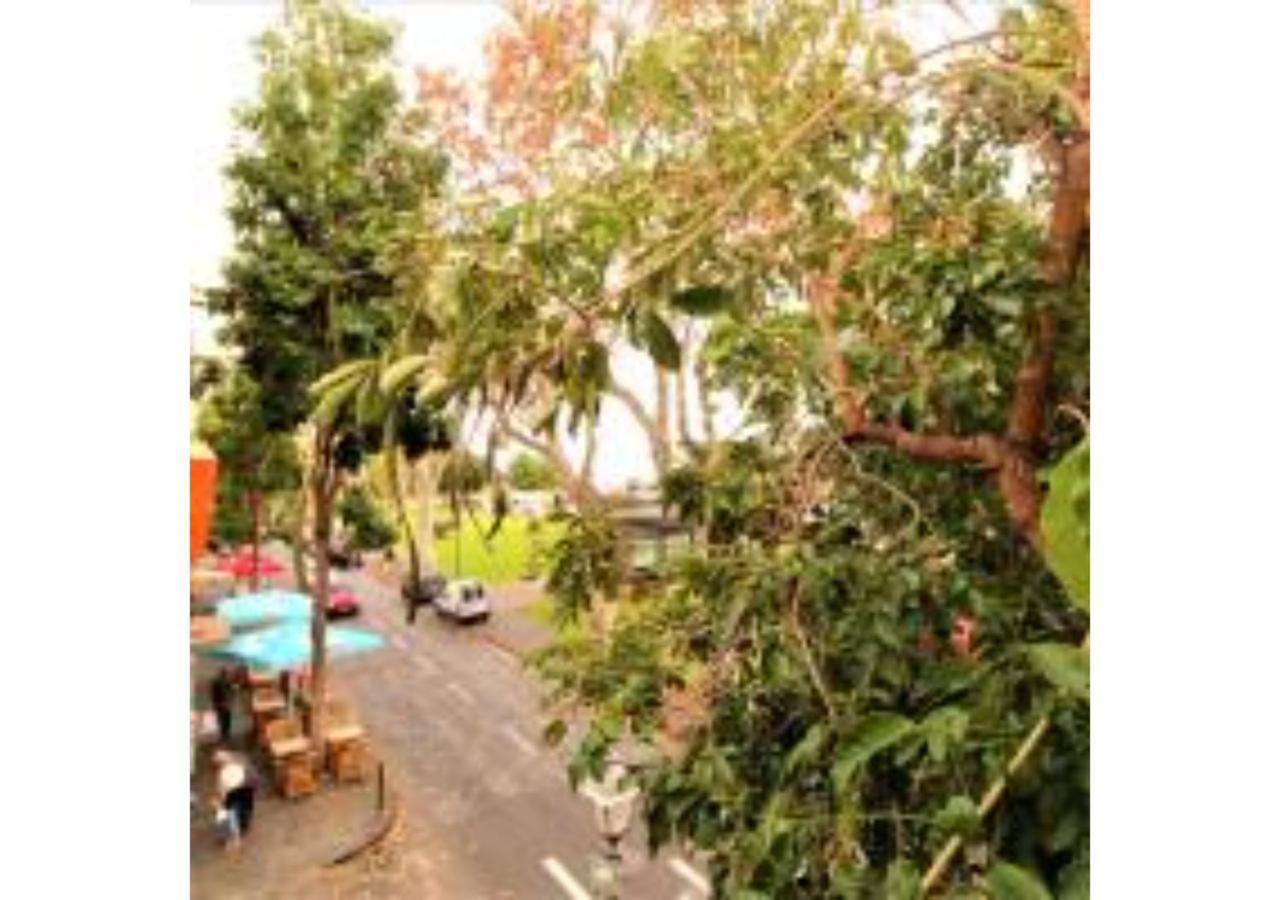 Vieira Best Location *