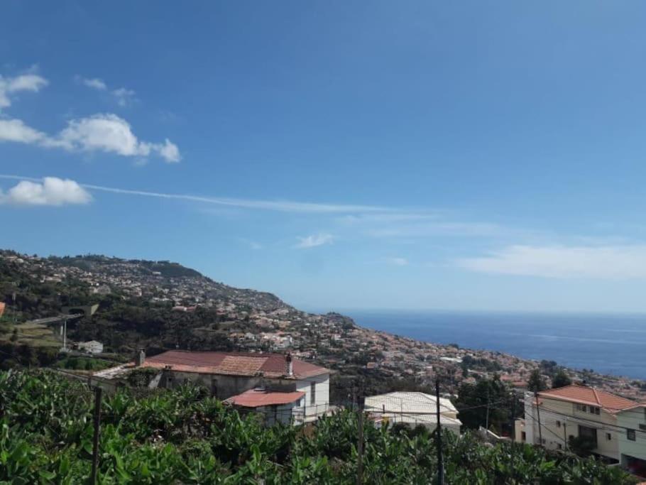 Madeira Panoramic Villa- Promocao 2 Ou 3 Semana Funchal (Madeira)