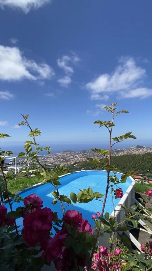 Geek - Open Space - 5m From 5 Attractions - Pool Year Round, Dining Pergola, Barbecue - Matrix Villa *