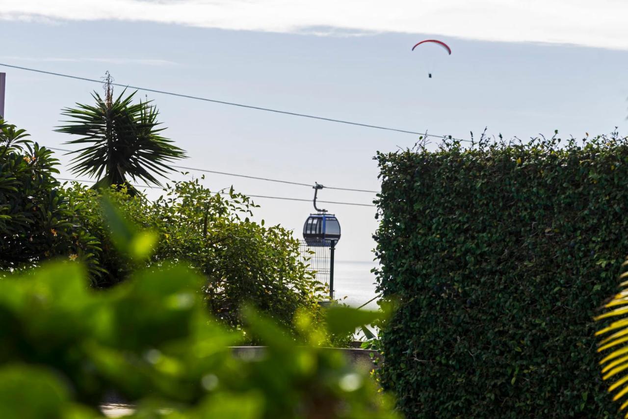 Belvedere By An Island Apart * Funchal (Madeira)
