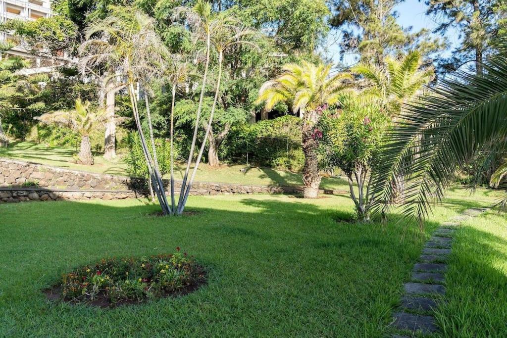 Sunny Bayhill With Swimming Pool * Funchal (Madeira)