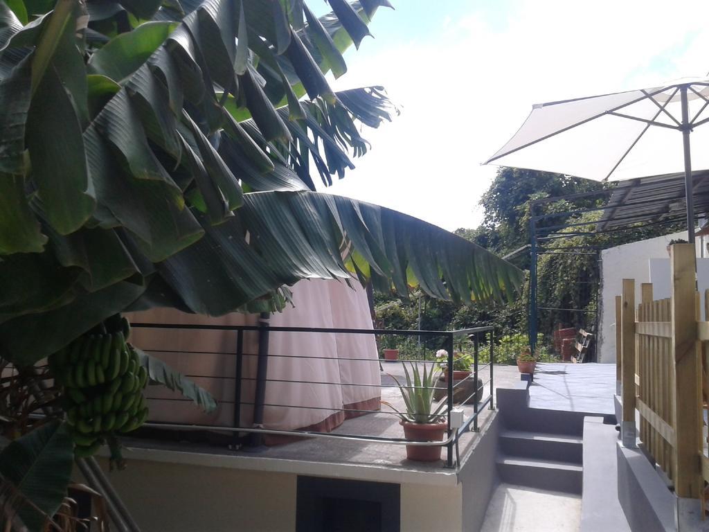 Cantinho Das Bananas Case de vacanță